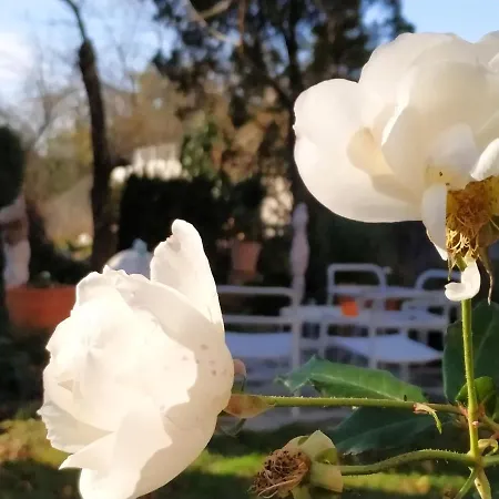 Appartamento Design -garden & Comfort
