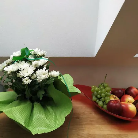 Design -garden & Comfort Appartamento Bratislava