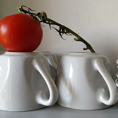 شقة Design -garden & Comfort *