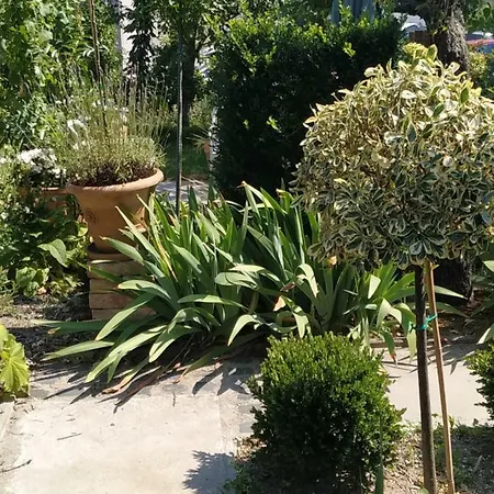 Διαμέρισμα Design -garden & Comfort *
